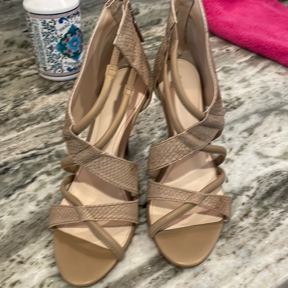 Gorgeous snake heel